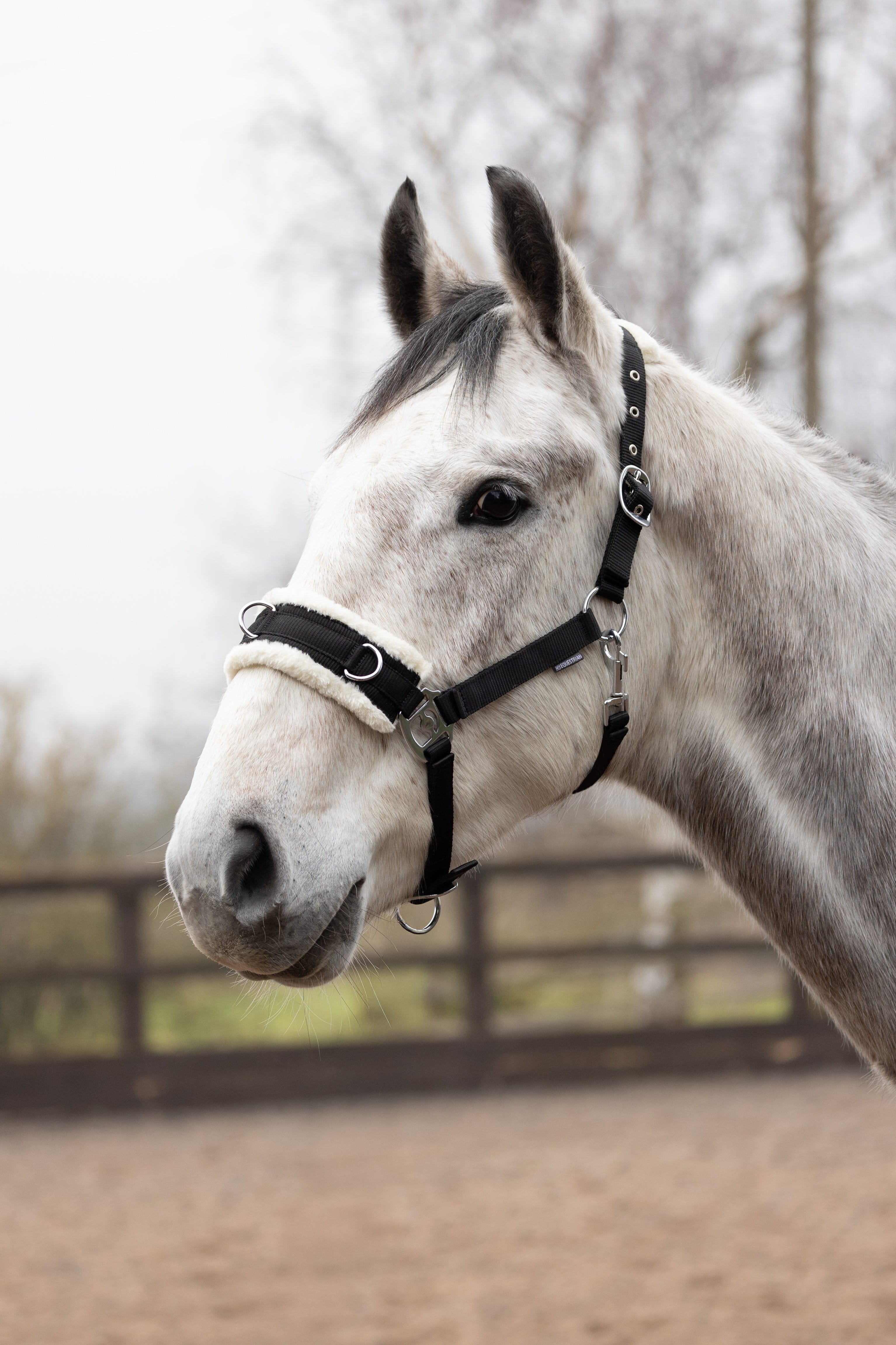 Hy Equestrian Fleece Lined Lunge Cavesson image 2